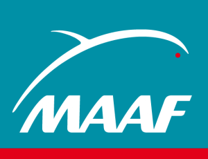 assurance habitation maaf