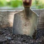 comment-becher-jardin
