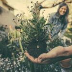 entretien-jardin
